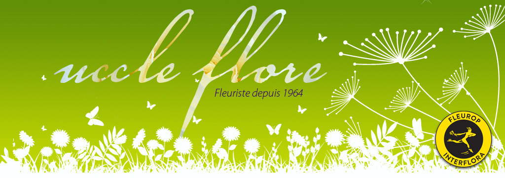 Fleuriste à Uccle - Uccle Flore - Fleuriste à Uccle Place Saint Job,28 depuis 1964